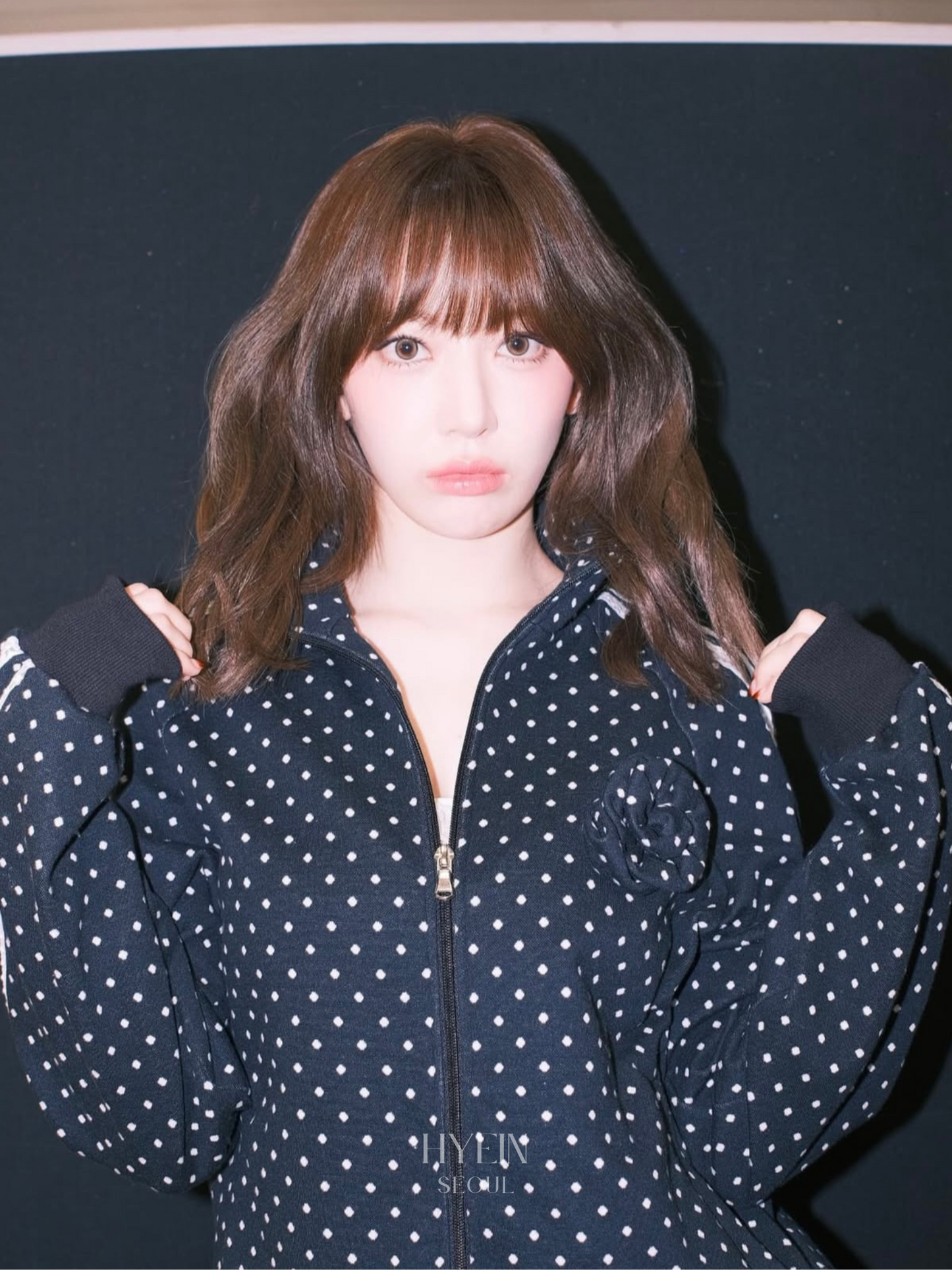 Rose dot track jacket / navy