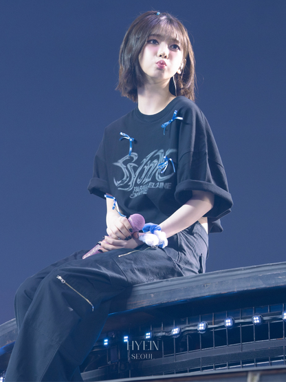 Ripstop cargo pants / black【aespa カリナ着用】